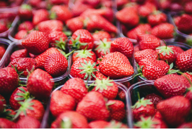 掌控糖尿病-糖尿病人能吃草莓嗎配圖