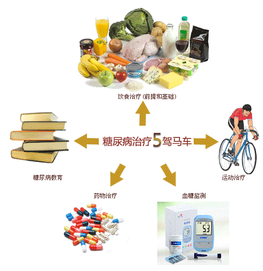 治疗糖尿病新5驾马车